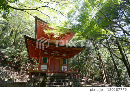 比叡山延暦寺 西塔 根本如法塔 滋賀県大津市坂本 比叡山延暦寺 西塔 根本如法塔 滋賀県大津市坂本 120187776