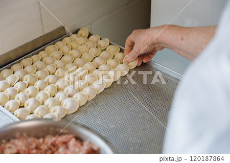 Homemade dumplings neatly arranged on a tray, ready for cooking or freezing Homemade dumplings neatly arranged on a tray, ready for cooking or freezing 120187864