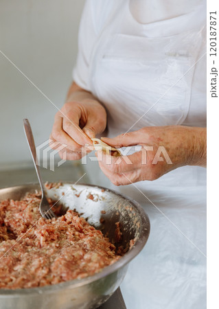 Making traditional dumplings with minced meat filling, hands shaping dough for authentic cuisine 120187871