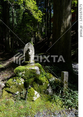 比叡山延暦寺 横川 参道の地蔵尊 滋賀県大津市坂本 比叡山延暦寺 横川 参道の地蔵尊 滋賀県大津市坂本 120187875
