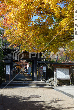 秋の常寂光寺 山門 京都市右京区嵯峨 秋の常寂光寺 山門 京都市右京区嵯峨 120187904