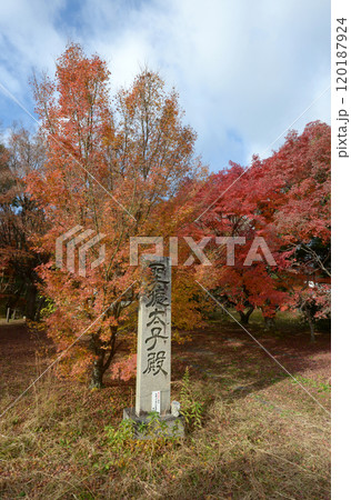 秋の清涼寺 境内の紅葉 京都市右京区嵯峨 秋の清涼寺 境内の紅葉 京都市右京区嵯峨 120187924