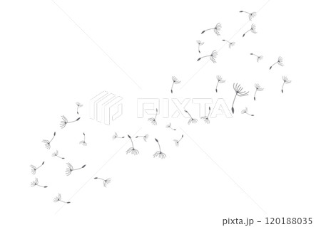 Dandelion Logo, Vector Plant Dandelion flower, Design Icon Template Dandelion Logo, Vector Plant Dandelion flower, Design Icon Template 120188035