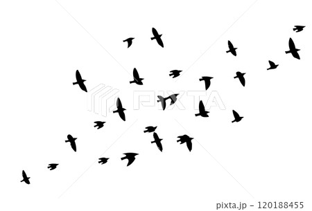 Flying birds silhouette flock. hand drawing. Not AI. Vector illustration 120188455