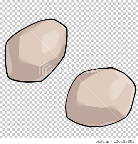 Illustration of peeled taro Illustration of peeled taro 120188803