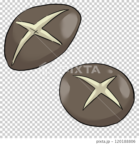 Illustration of a shiitake mushroom with cuts Illustration of a shiitake mushroom with cuts 120188806