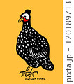 黄色い背景の中にいるユニークな鳥 120189713