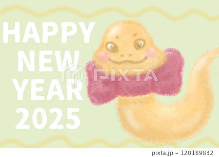 2025巳年の年賀状イラスト 120189832