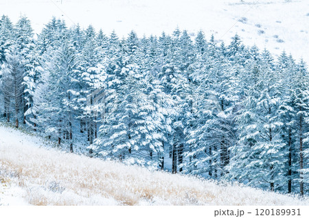 雪景色 雪景色 120189931
