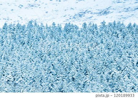 雪景色 120189933