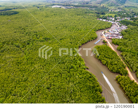 Amazing abundant mangrove forest, Aerial view of forest trees Rainforest ecosystem and healthy environment background, Texture of green trees forest top down, High angle view 120190001