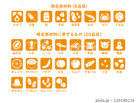 食物アレルギー　28品目アイコンセット　1色 120190116