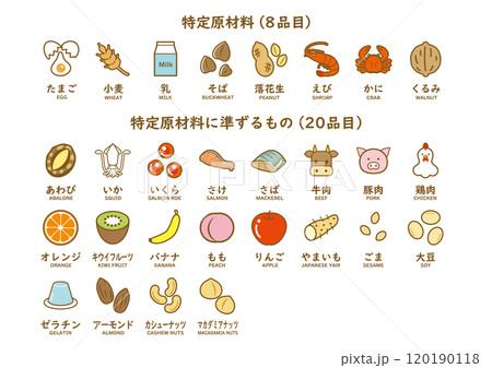 食物アレルギー　28品目アイコンセット　カラー 120190118