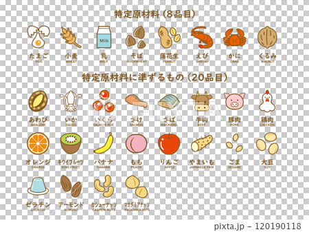 食物アレルギー　28品目アイコンセット　カラー 120190118