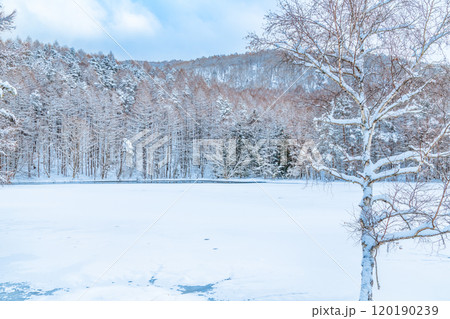 長野 真冬の御射鹿池 長野 真冬の御射鹿池 120190239