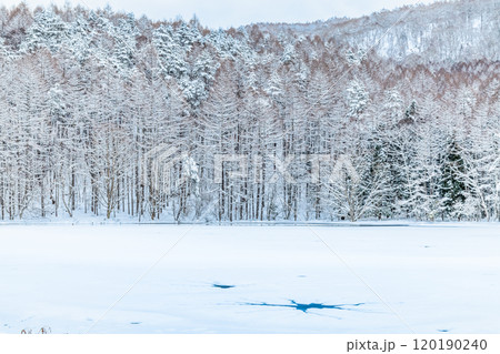 長野　真冬の御射鹿池 120190240