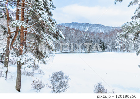 長野　真冬の御射鹿池 120190250