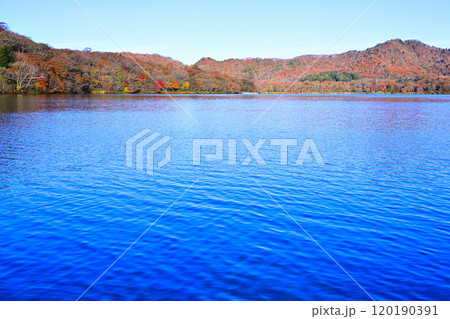 赤城大沼 湖畔からの眺め 秋色の景色 赤城大沼 湖畔からの眺め 秋色の景色 120190391