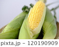 皮付きトウモロコシ 120190909