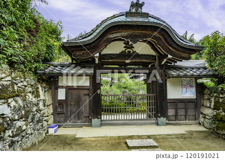 坂本　寿量院　滋賀県大津市 120191021