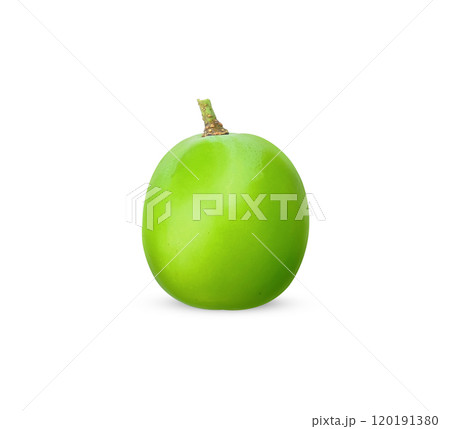 green grape fruit isolated on white background. 120191380