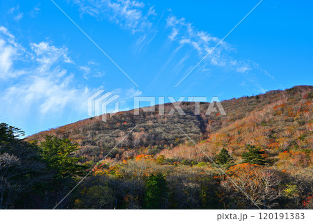 紅葉の進む赤城大沼湖畔　地蔵岳　秋色の風景　　　　 120191383