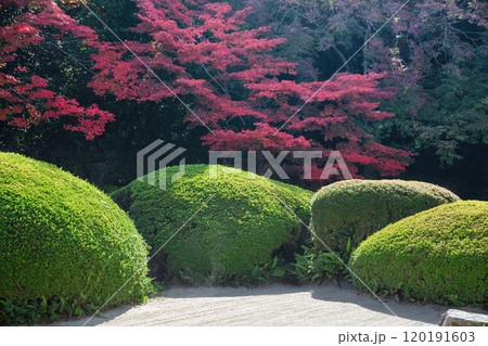 秋の詩仙堂 秋の詩仙堂 120191603