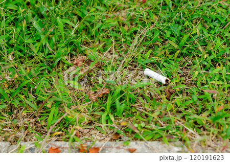 公園内の植生の中にポイ捨てされたタバコが落ちている風景 120191623