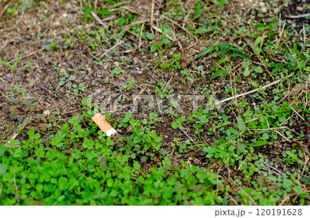 公園内の植生にポイ捨てされたタバコのある風景 120191628