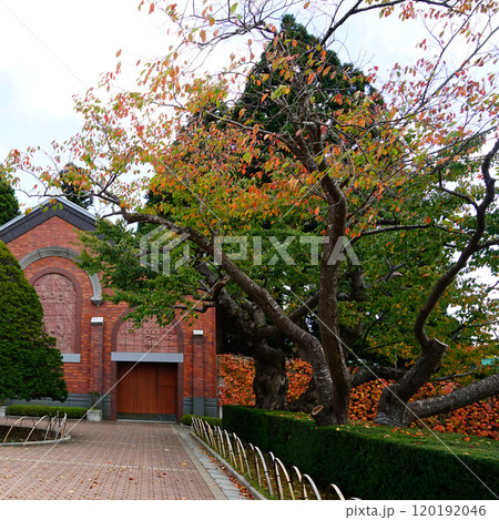 トラピスチヌ修道院北海道 120192046