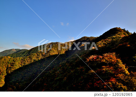 奥多摩湖 小河内ダムから御岳山及び川苔山方面山並みの紅葉の風景 120192065