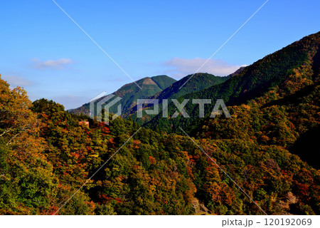 奥多摩湖 小河内ダムから御岳山及び川苔山方面山並みの紅葉の風景 120192069