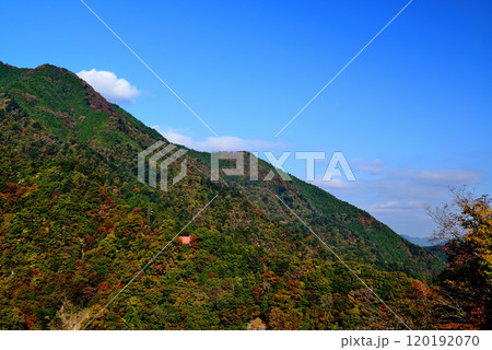奥多摩湖 小河内ダムから御岳山及び川苔山方面山並みの紅葉の風景 120192070