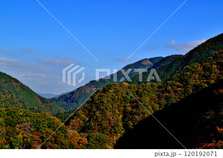 奥多摩湖 小河内ダムから御岳山及び川苔山方面山並みの紅葉の風景 120192071