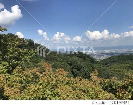 七子峠あたりから大坂谷橋の方を眺める 120192421