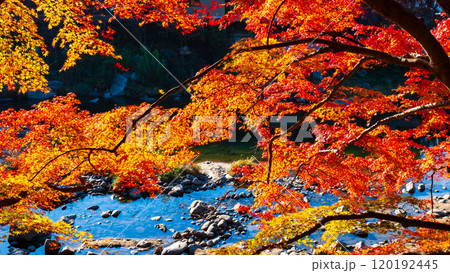 香嵐渓（秋） 120192445