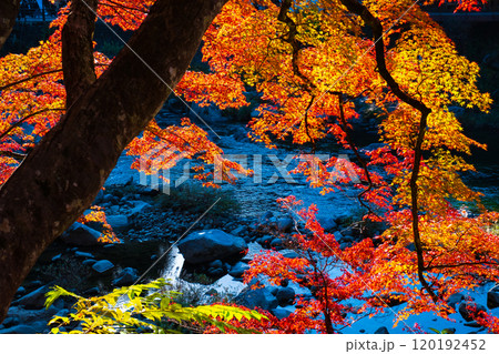 香嵐渓（秋） 120192452