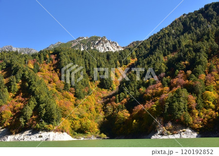 立山黒部アルペンルートの紅葉　黒部ダム　 120192852