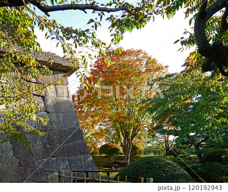 北海道　五稜郭　函館 120192943