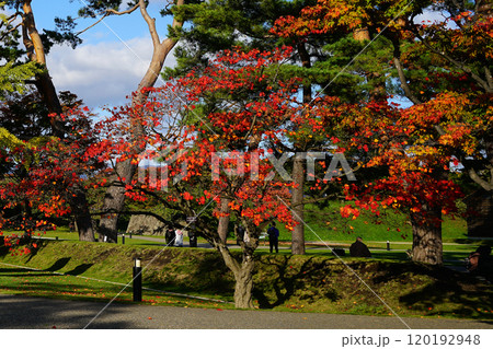 北海道　五稜郭　函館 120192948