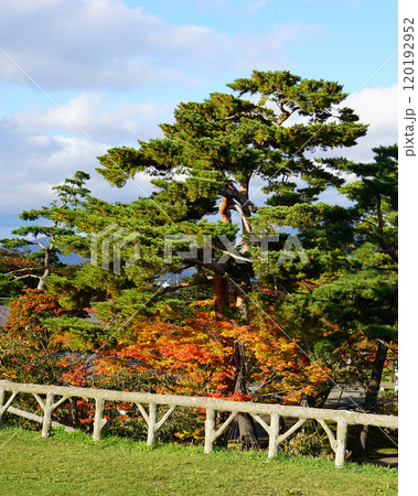 北海道 五稜郭 函館 北海道 五稜郭 函館 120192952