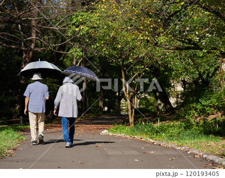 秋の朝の公園で散歩するシニア夫婦の姿 秋の朝の公園で散歩するシニア夫婦の姿 120193405