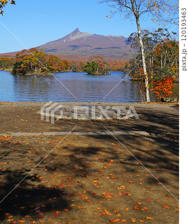 北海道　大沼公園　函館 120193463