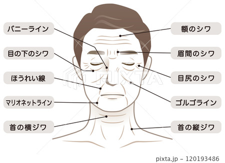 中年男性　シワ　名称　美容　老化 120193486