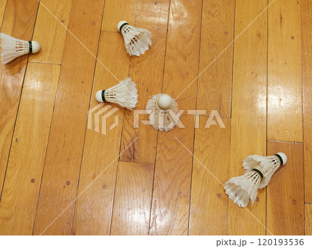室内のスポーツセンターの床にあるたくさんのバドミントンのシャトルの様子 120193536