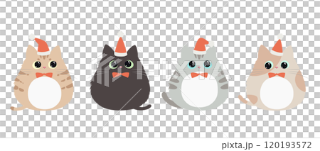 クリスマスの帽子を被った子猫たちのベクターイラスト 120193572