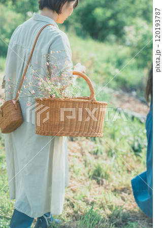 お花摘み お花摘み 120193787