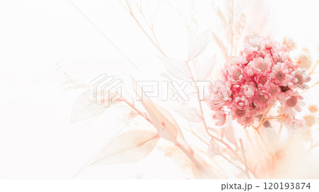 ピンクのブーケ　可愛い花束の写真素材　 120193874