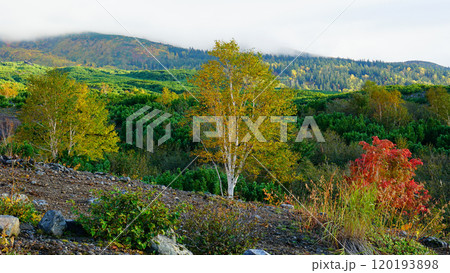 北海道 十勝岳展望台 北海道 十勝岳展望台 120193898