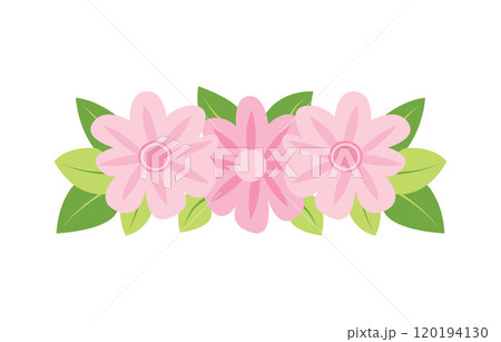 Beautiful Pink Girly Flower Floral Crown with Natural Nature Leaves 120194130